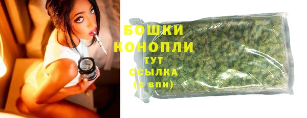 твердый Козельск