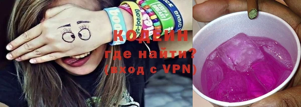 твердый Козельск